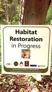 Sign in front of a tree reading "Habitat Restoration in Progress"